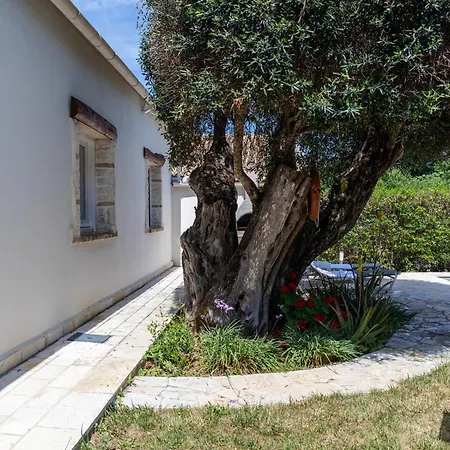 Charmante Petite Maison A Corfou 别墅 佩雷卡斯